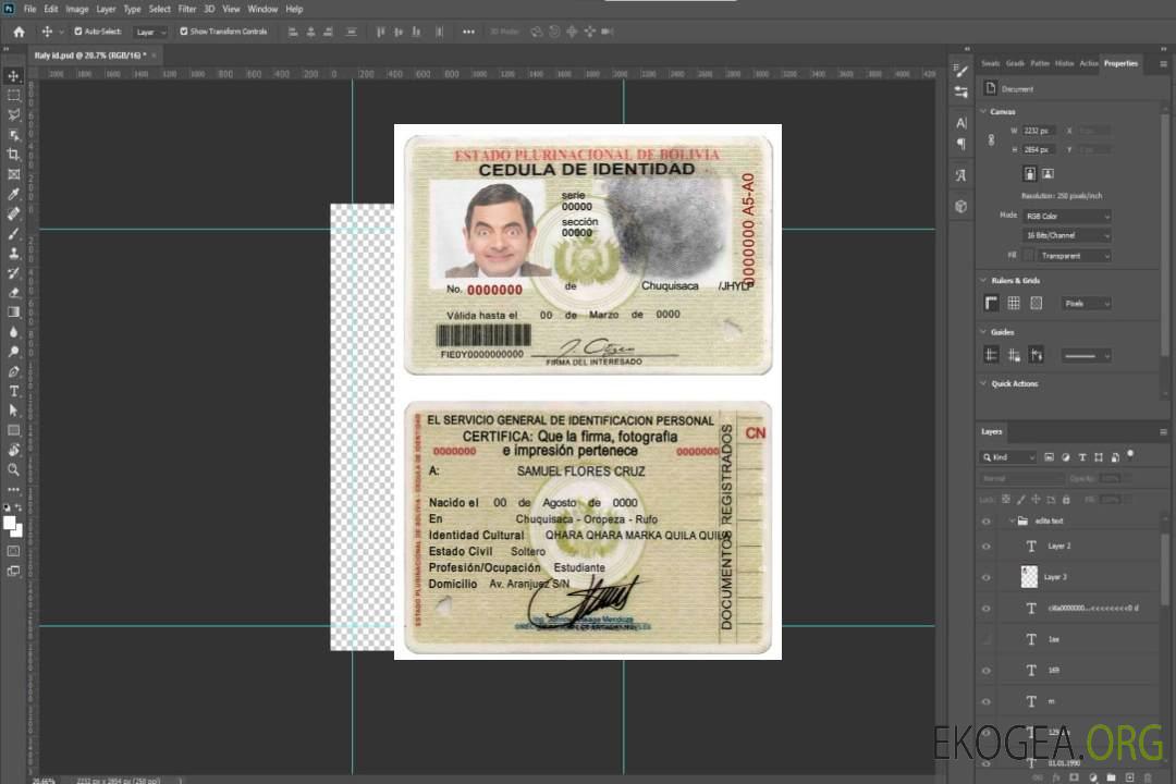 Carte d'identité Bolivie (1) template